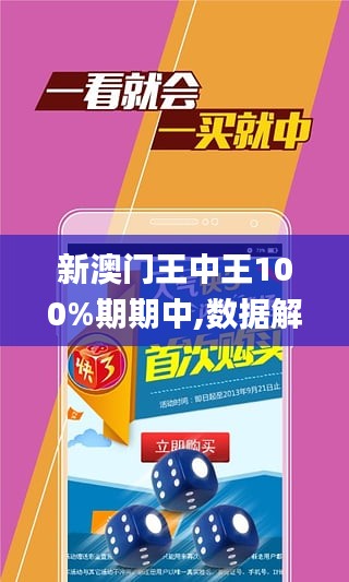 王中王100期期一肖，全面释义、解释与落实展望