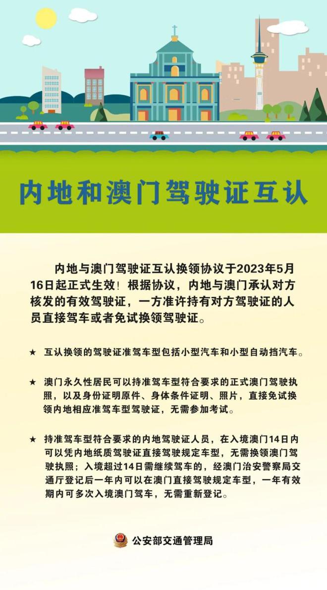 新澳门资料大全正版资料4不像，全面释义与解释