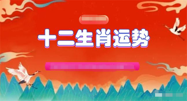 新澳门一肖一码精准资料公开，全面释义、解释与落实